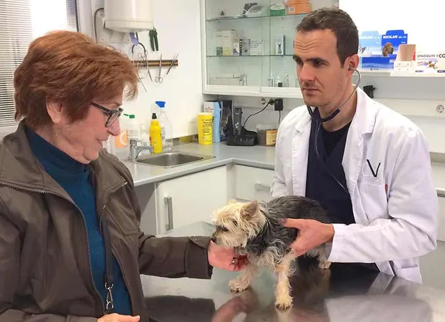 Clinica Veterinaria San Fernando, Palma de Mallorca