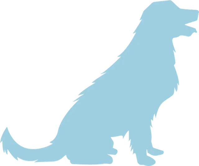 Petplan