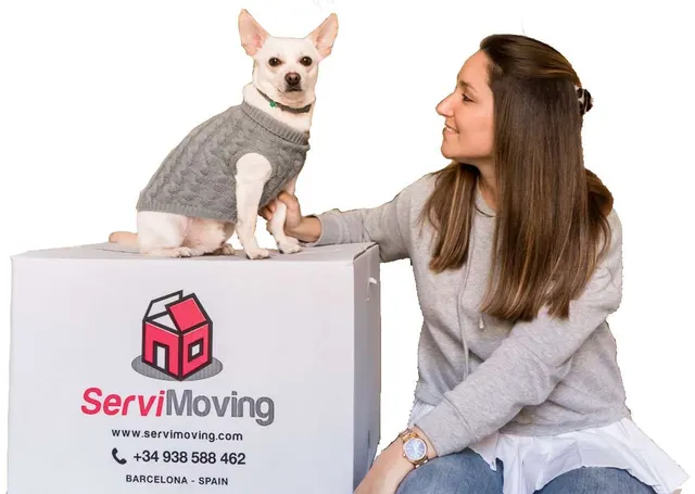 Mudanzas ServiMoving
