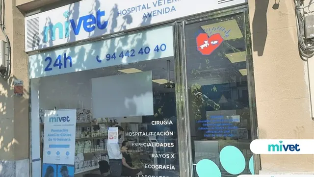 Hospital Veterinario Avenida | MiVet