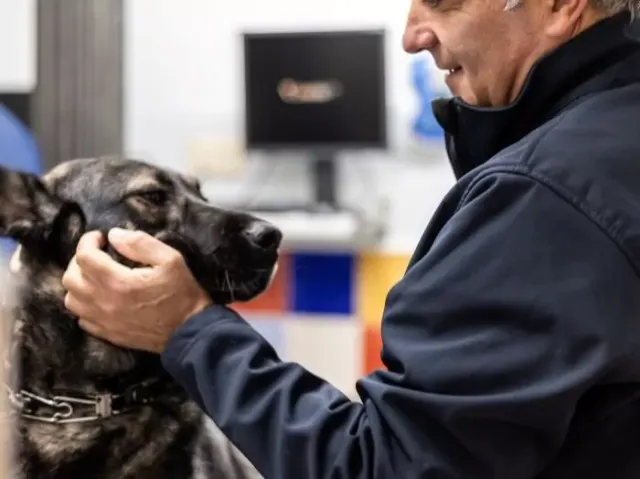 Clínica Veterinaria Ensanche